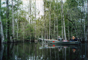 Fish Sampling